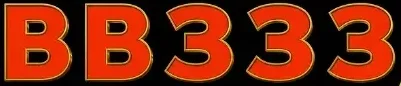bb333.net.pk